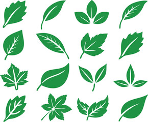 Leaf icons set isolated on white background. Leaf logotype. Vector