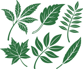 Leaf icons set isolated on white background. Leaf logotype. Vector