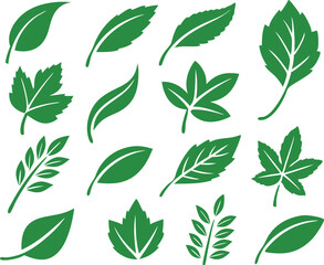 Leaf icons set isolated on white background. Leaf logotype. Vector