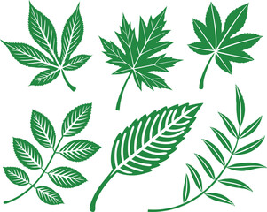 Leaf icons set isolated on white background. Leaf logotype. Vector