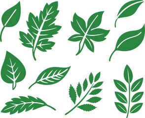 Leaf icons set isolated on white background. Leaf logotype. Vector