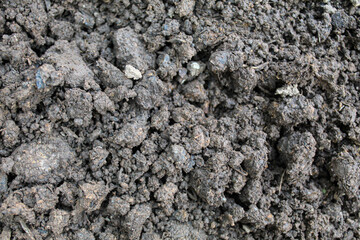 Close up view of dry soil or ground