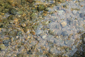 Clear water flow over rocky bottom river