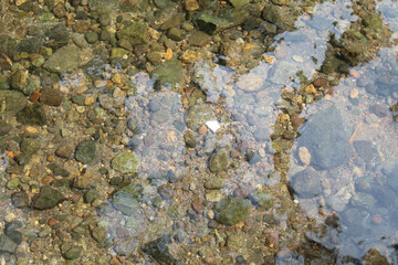 Clear water flow over rocky bottom river