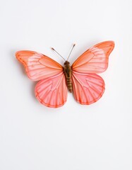 Peach butterfly on white background