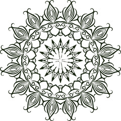 Beautiful flower art and mandala vector design