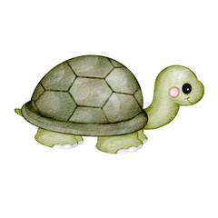 watercolor turtle clip art