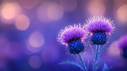 Elegant macro photography of two purple thistle flowers, perfect for botanical art, home decor, invitations, and serene nature themes.