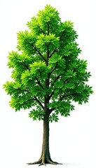 Varying shades of green branches forming a layered effect isolated on white background, tree, branches, foliage