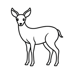 Fototapeta premium silhouette of a deer