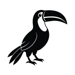 toucan isolated on white background
