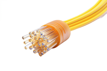 A close up shot showing a bundle of yellow fiber optic cables with clear ends on a white background plain