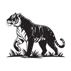 Tiger Vector 