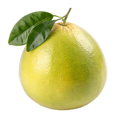 green pomelo fruit with leaves isolated on white or transparent png