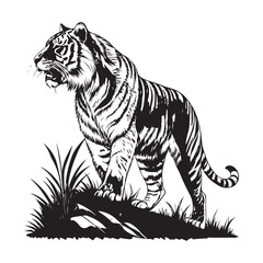 Obraz premium Tiger Vector 