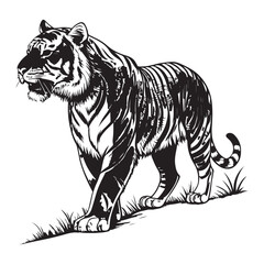 Tiger Vector 