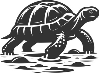 Tortoise crossing a small stream and front legs reaching forward