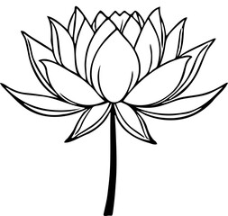 lotus flower silhouette with white background