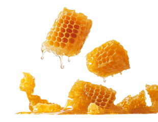 Sweet Honeycombs with honey drops falling isolated on transparent background