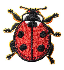 Ladybug patch badge cut out png on transparent background
