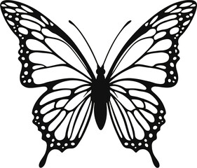 black and white butterfly