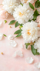 Obraz premium Elegant white peonies with lush petals and green leaves arranged on a soft pink background. Perfect for floral branding, wedding invitations, and romantic decorations. Selective focus