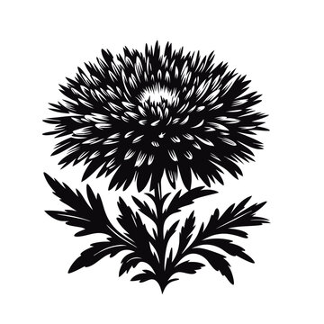 black chrysanthemum flower graphic design clip art preview