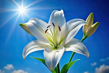 Fototapeta premium Stunning blue sky landscape showcasing a vibrant summer lily bloom.