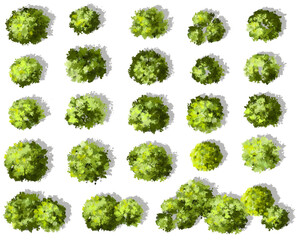 Vertor set of green tree,plants top view for landscape plan,schematic layout,eco environment concept design,watercolor greenery illustration