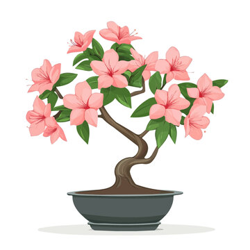 pink azalea bonsai tree in pot clip art preview