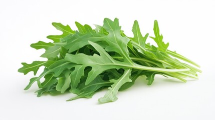 Fresh and vibrant arugula bunch displayed on a clean white surface