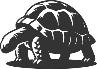 Tortoise with its head down as if searching for food vector silhouette