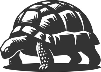 Tortoise with its head down as if searching for food vector silhouette