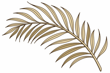 High-Detail Dried Palm Frond with Golden Brown Leaves – Minimalist Botanical Art.