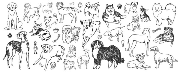 Hand-drawn doodle dog breeds set, whimsical ink sketched illustrations