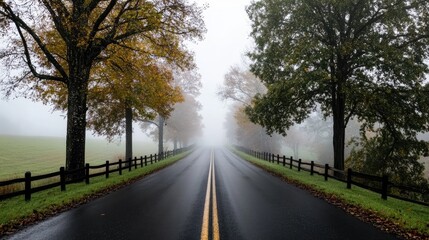 Obraz premium Serene Country Road Surrounded by Fog and Autumn Trees