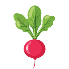 2D flat vector illustration Radish icon isolated on a white background.


