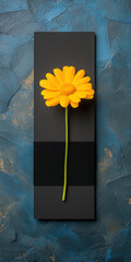 Glossy black ribbon and bright yellow daisy on a textured background.