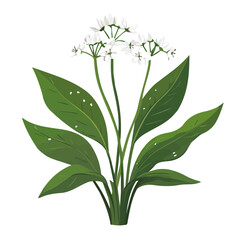 2D flat vector illustration Wild Garlic icon isolated on a white background.


