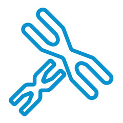 Obraz premium chromosome