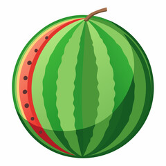 Vector illustration of watermelon 