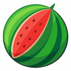 Vector illustration of watermelon 