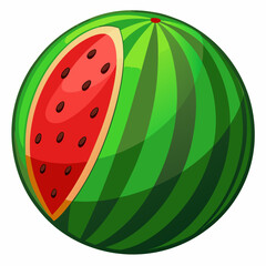 Vector illustration of watermelon 