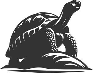 Tortoise standing on a rock, gazing into the distance vector silhouette