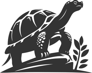 Tortoise standing on a rock, gazing into the distance vector silhouette