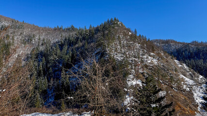 Snow-dusted mountain landscape with evergreen trees, winter nature scene, serene wilderness, outdoor adventure exploration