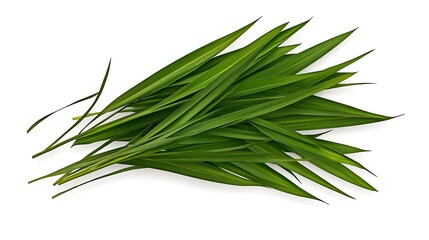 Fototapeta premium Vibrant Green Palm Leaves on White Background AI Generated