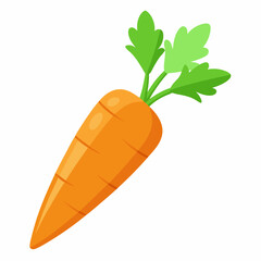 fresh carrots