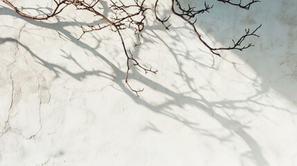 Soft, abstract shadows of tree branches cast on a white concrete wall, forming a naturally elegant overlay effect for background aesthetics