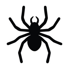 Obraz premium Spider insect silhouette vector on white background